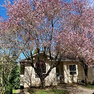 Red Robe Air Guest house